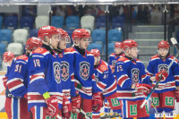 Соревнования по хоккею за Кубок губернатора Тульской области, Фото: 50