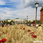Цветочный джем: Тульское поле в Москве, Фото: 10