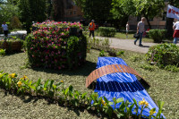 Зеленая акция на проспекте Ленина, Фото: 29