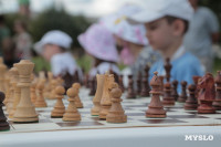В Тульском кремле состоялся сеанс по одновременной игре в шахматы, Фото: 24