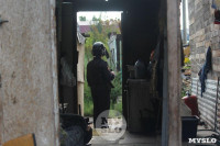 В Плеханово вновь сносят незаконные дома цыган, Фото: 9