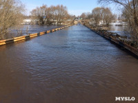 В Щекинском районе затопило мост, Фото: 2