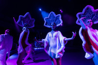 Успейте посмотреть шоу «Новогодние приключения домовенка Кузи» в Тульском цирке, Фото: 91