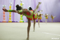 Соревнования «Первые шаги в художественной гимнастике», Фото: 67