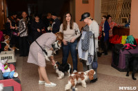 Выставки собак в ДК "Косогорец", Фото: 45
