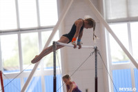Соревнования по художественной гимнастике, Фото: 83