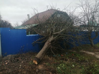 Штормовой ветер в Тульской области валил деревья, заборы и повредил крыши, Фото: 25