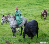 Русское поле фермера Кравцова, Фото: 14