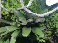 , Фото: 63