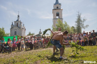 В Тульской области прошел фестиваль крапивы, Фото: 224