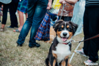 Всероссийская выставка собак в Туле, Фото: 42