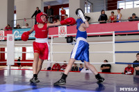 Первенство Тульской области по боксу, Фото: 26