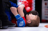 В «Тула-Арене» состоялись областные соревнования по ММА, Фото: 70