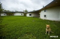 Эко-курорт «Ясно Поле», Фото: 2