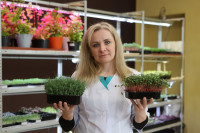 Елена Киеня выращивает микрозелень, Фото: 34