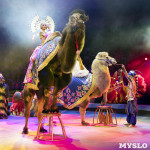 Грандиозное цирковое шоу «Песчаная сказка» впервые в Туле!, Фото: 2
