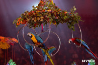 Цирковое шоу Жар птица, Фото: 69