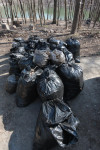 "Слобода" и Myslo очистили от мусора Платоновский парк!, Фото: 110