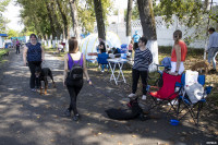 В Туле прошла выставка собак всех пород: фоторепортаж, Фото: 5