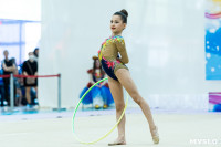 Тула провела крупный турнир по художественной гимнастике, Фото: 111