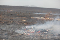 Возгорание сухой травы напротив ТЦ "Метро", 7.04.2014, Фото: 3