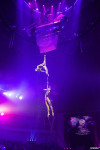 Шоу Гии Эрадзе «5 континентов» в Тульском цирке: феерия уже началась!, Фото: 66