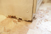 Тулячка: «Из-за пробитой сотрудниками УК крыши в моей квартире уже месяц потоп», Фото: 14