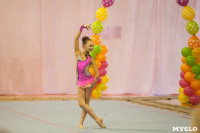 Соревнования по художественной гимнастике "Тульский сувенир", Фото: 63