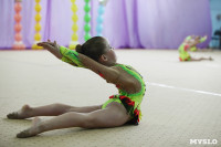 Соревнования «Первые шаги в художественной гимнастике», Фото: 68