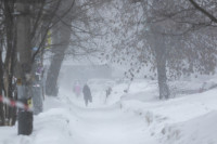 Снежный апокалипсис в Туле: фоторепортаж с улиц города, Фото: 17
