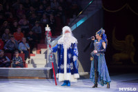 Туляков приглашают на новогоднее представление «Ёлка в цирке», Фото: 37