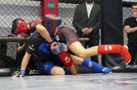 В Новомосковске прошел Чемпионат и Первенство Тульской области по ММА, Фото: 52