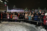 Открытие главной ёлки на площади Ленина, Фото: 22
