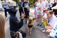 «Школодром-2025», Фото: 237