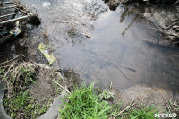 Богородчан затопило канализацией, Фото: 10