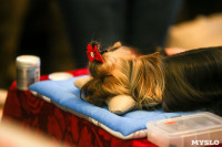 В Туле прошла Всероссийская выставка собак, Фото: 41