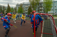 Дворовый хоккей: в Туле и Новомосковске определили сильнейшие команды , Фото: 18
