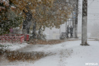 Первый снег в Туле, Фото: 1