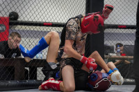 В Новомосковске прошел Чемпионат и Первенство Тульской области по ММА, Фото: 38