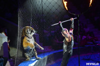 Цирковое шоу, Фото: 128