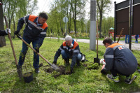 Сотрудники «ЕВРАЗ Ванадий» Тулы посадили деревья в Баташевском саду, Фото: 2