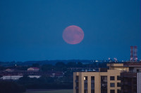 Осетровая Луна 2025, Фото: 5