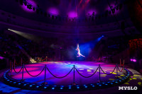 Шоу воды, огня и света, Фото: 9