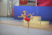 IX Всероссийский турнир по художественной гимнастике «Старая Тула», Фото: 40