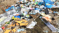 Поселок Славный в Тульской области зарастает мусором, Фото: 21