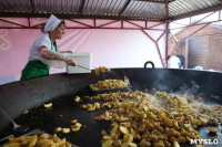 Жареная картошка на набережной Упы, Фото: 26