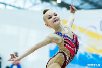 Тула провела крупный турнир по художественной гимнастике, Фото: 87