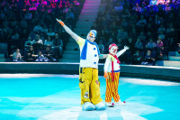 "Чудеса под Новый год" в Тульском цирке, Фото: 7