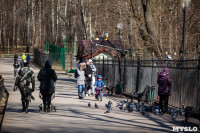 Солнечный день в Белоусовском парке, Фото: 17