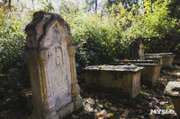 Всехсвятское кладбище, Фото: 136
